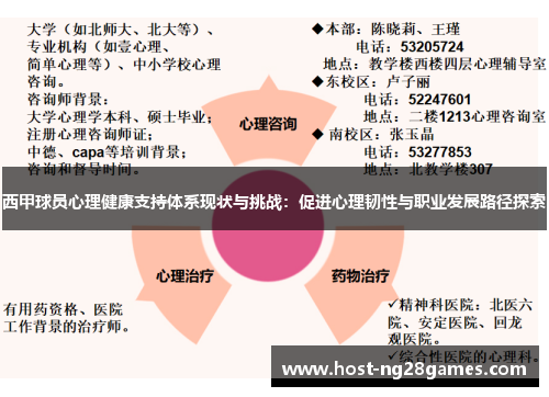 西甲球员心理健康支持体系现状与挑战：促进心理韧性与职业发展路径探索