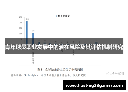 青年球员职业发展中的潜在风险及其评估机制研究