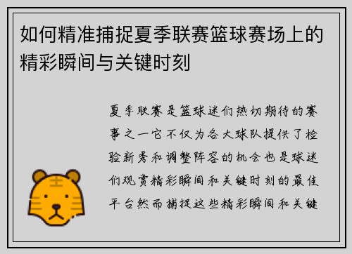 如何精准捕捉夏季联赛篮球赛场上的精彩瞬间与关键时刻