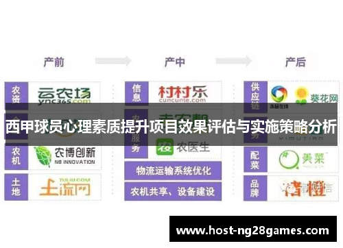 西甲球员心理素质提升项目效果评估与实施策略分析