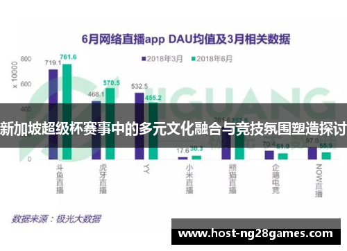 新加坡超级杯赛事中的多元文化融合与竞技氛围塑造探讨